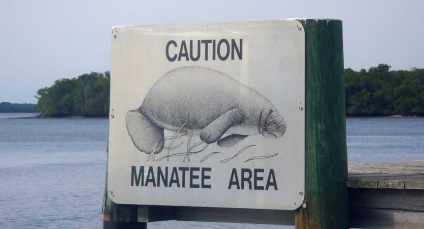 a Sign picturing a manatee says "caution manatee area" 